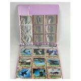 Desert Storm Trading Card Set/Binder