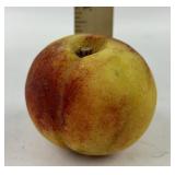 Antique painted stone fruit - apple or peach