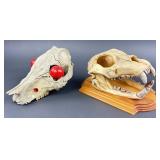 Animal skull decor