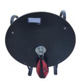 UFC Punching Bag