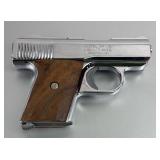 Raven Arms MP25 .25 Caliber Handgun