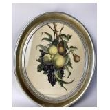 Botanical Lithograph With Fruit Illustration