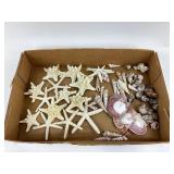 Starfish, Seashells, Conch Shells