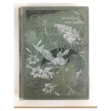 J.P. Newman Mother, Home and Heaven Book: 1890