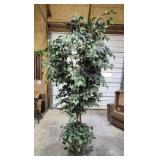 Artifical Ficus Tree In A Rattan Basket