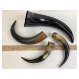 Natural Horns: Water Buffalo