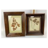 Pressed Botanical Specimens in Wood Frames