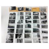 1940ï¿½s Kodak Pictures Yellowstone Peak, Grand Cany