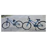 Roadmaster Mt. Fury 15 Speed Bicycle & Royce