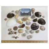 Seashells, Copenhagen Denmark Pottery Tray