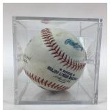 MLB Baseball Adam Dunn Batting Practice Foul Ball
