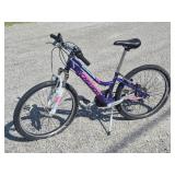 Schwinn Ranger 24 in. Girls Bike