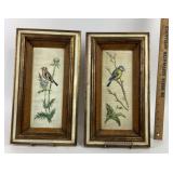 Marko Framed Bird Prints by Grafs