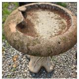 Concrete Bird Bath with Tree Trunk Base