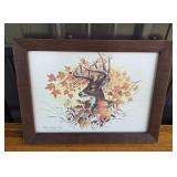 White-Tailed Deer Print By J. Lockhart