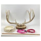 Mounted Deer Antlers, Ceramic Pet Bowl, Pink Colla
