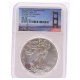 2020-S silver eagle NGC MS70