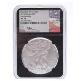 2018-W silver eagle NGC MS70, burnished finish