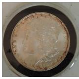 1884 Morgan BU