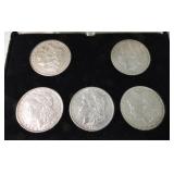 Lot of 5 Morgan dollars