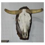 European steer mounted wall hanging European steer mounted wall hanging