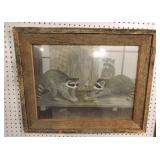 Racoon painting by June Bowen Towns