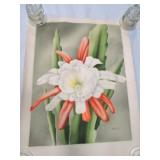 Lot of 2 floral still lifes, 20"x26"