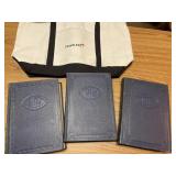 Vintage dictionary lot with bag