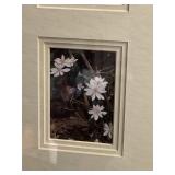 Framed Trio of Colored Photographs