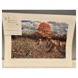 (V) A Perfect Day Print Signed by A. Kassel