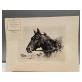 (V) Ponder  Orignal Etching by RH Palenske