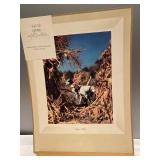 (V) Looking A head Orignal Color Photograph by