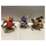 (V)  Beautiful Birds in their settings Cardinals