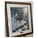 Creek side Whitetail Deer- Persia Clayton Weirs.