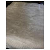 Large area rug in very nice condition- no odors