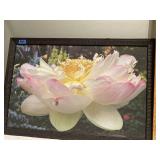 (PP) Print Framed size 26x18