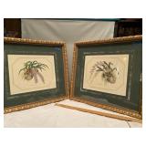 Pair Of Framed Prints