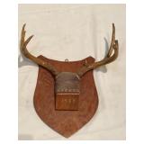 (RR3)! Deer Antlers 1957 Mounted  7 point