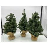 (RR1). Three Small Christmas Trees in burlap bag