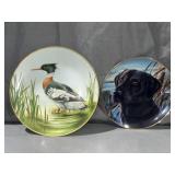 (2) Porcelain Decor Plates 1 Red Breasted