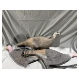 (3) Turkey Hen Hunting Decoys