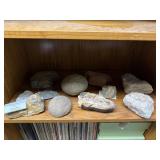 Rock Collection and Petrified Wood