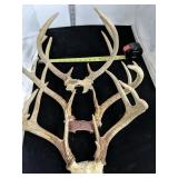 Set Of 3 Antlers