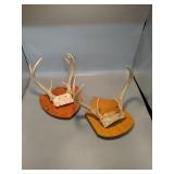 2 mounted Deer Racks