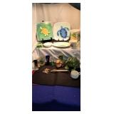 Household turtle lot