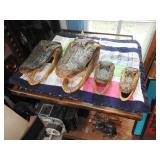 Aligator Heads