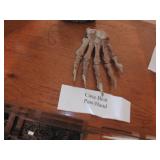 Cave Bear Paw Hand