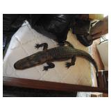 Alligater approx 5ft long
