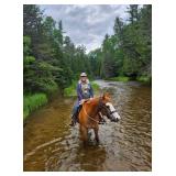 Lot# 519 16yrs old 15hh gelding. Wheeler is a good trail and camping horse, rode/traffic safe 