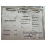 Lot# 517 5yr. AQHA gelding, 15.1HH well broke trail or ranch work (Pedigree attached)